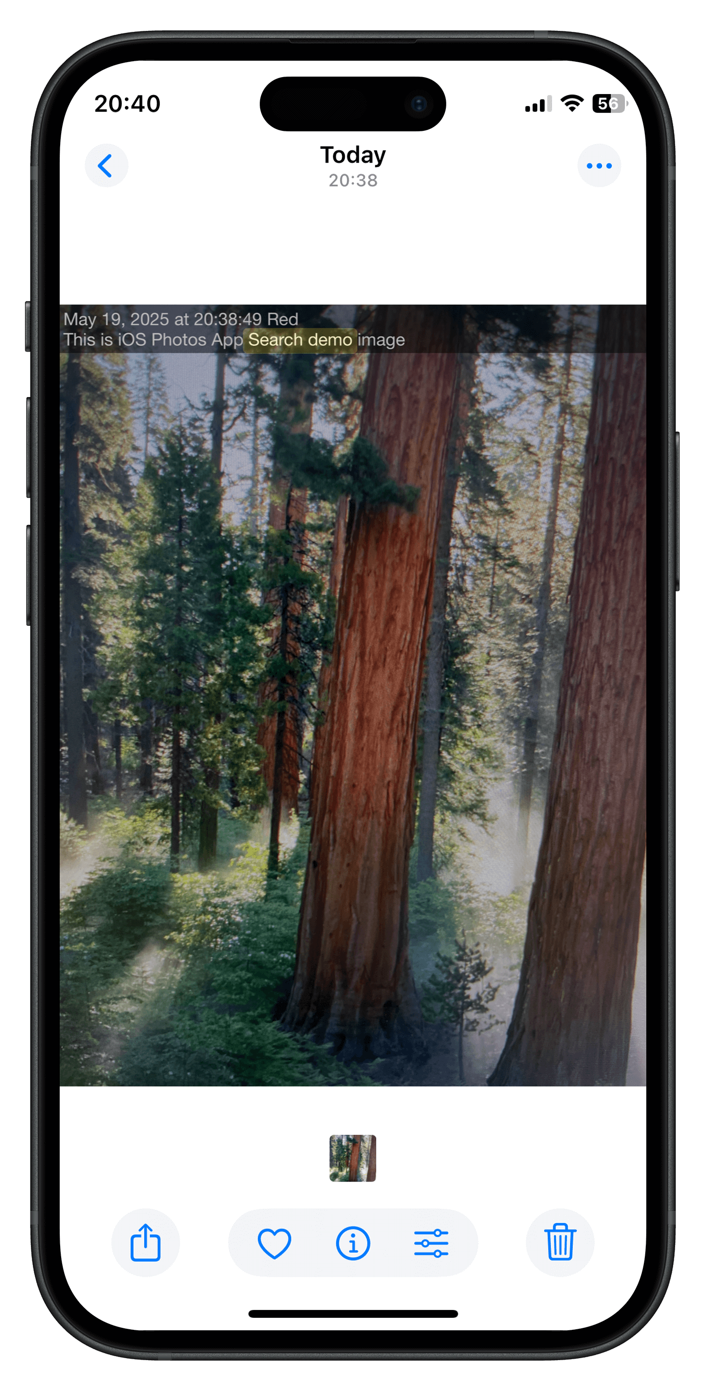 iOS Photos Search demo screenshot